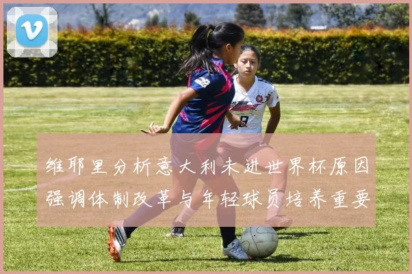 维耶里分析意大利未进世界杯原因强调体制改革与年轻球员培养重要性