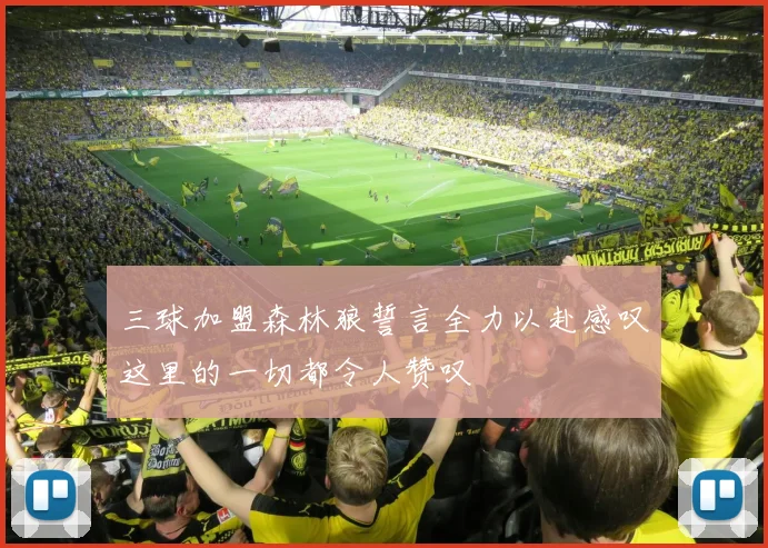 三球加盟森林狼誓言全力以赴感叹这里的一切都令人赞叹