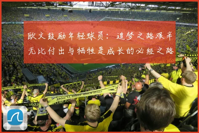 欧文鼓励年轻球员：追梦之路艰辛无比付出与牺牲是成长的必经之路